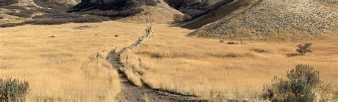 Meadow Trail | Map, Guide - Utah | AllTrails