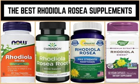 The 10 Best Rhodiola Rosea Supplements (December 2024) - Jacked Gorilla