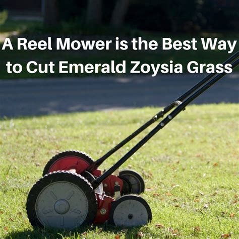 How to Cut Emerald Zoysia Grass - Houston Pearland Sugar Land Katy TX