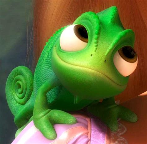 Pascal Tangled Cute