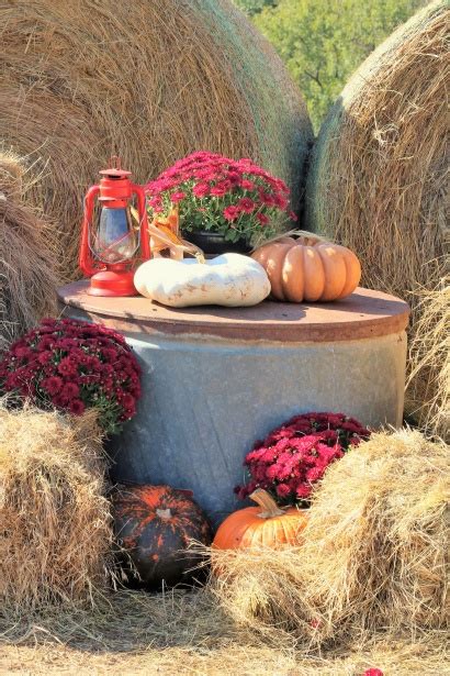 Fall Farm Decor Free Stock Photo - Public Domain Pictures