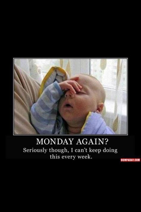 10+ School - Monday humor ideas | monday humor, humor, funny animals