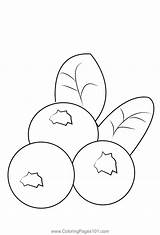 Blueberris 3 Coloring Page For Kids  Free Blueberry Printable sketch template