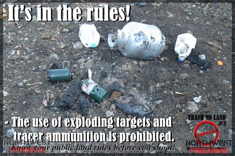 exploding targets 1000.jpg | Northwest Firearms