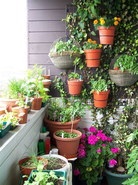 Urban Oasis: Balcony Gardens That Prove Green Is Always In Style