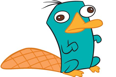 So adorable! - Perry the Platypus Photo (24338124) - Fanpop