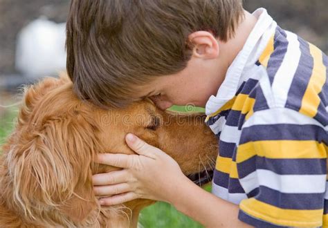 Little Boy and Dog royalty free stock photography in 2020 | National ...