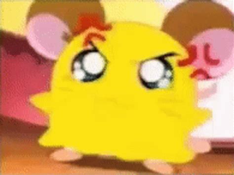 Hamtaro Penelope GIF - Hamtaro Penelope Angry - Discover & Share GIFs