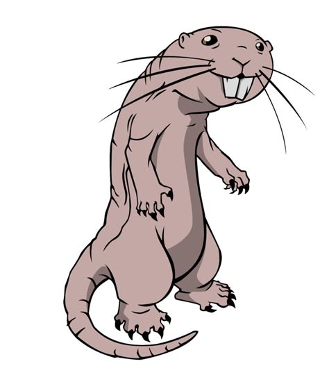 Rufus the Super Mole Rat by Zimonini on DeviantArt