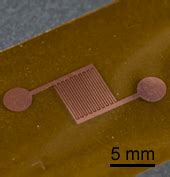 Low-Voltage Irreversible Electroporation Using a Comb-Shaped Contact Electrode - IEEE ...