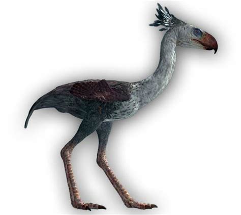 Phorusrhacos – a scary bird | DinoAnimals.com