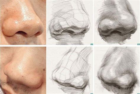 Pin by Abby Deaton on Art Studies | Nose drawing, Drawings, Art drawings