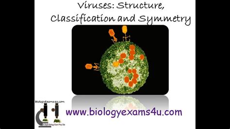 Virus Structure Classification and Symmetry - YouTube