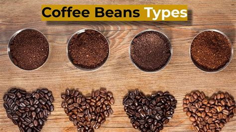 Coffee Beans Types: Here is What You Need to Know