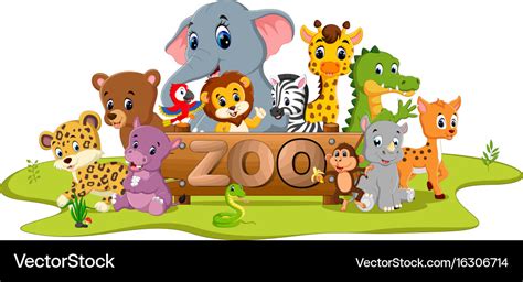 Collection of zoo animals Royalty Free Vector Image