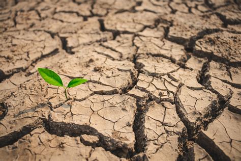 What Are Flash Droughts? | Discover Magazine