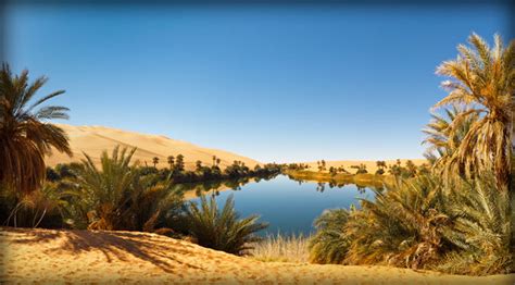 An Oasis of Freedom in the Desert - The Daily Reckoning