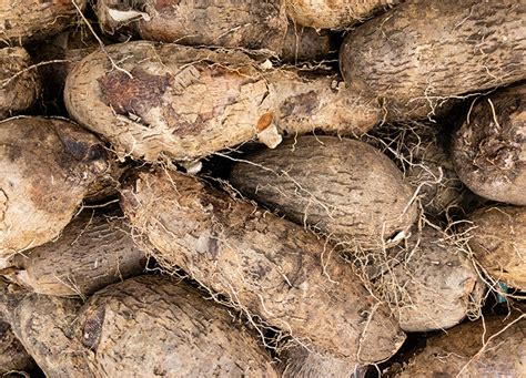 Yams vs. Sweet Potatoes: What's the Difference? – PureWow