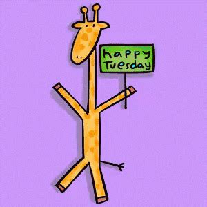 Happy Tuesday GIF - Tuesday HappyTuesday Giraffe - Discover & Share GIFs