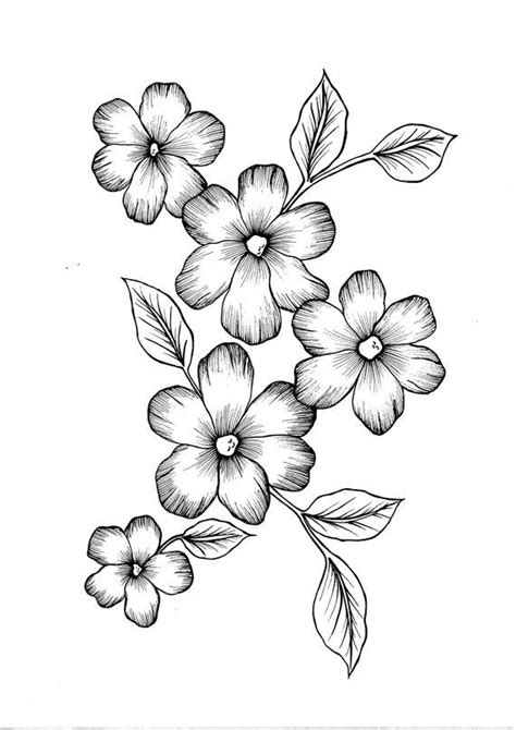 Wild Flowers PDF Coloring Page - Etsy | Easy flower drawings, Flower ...