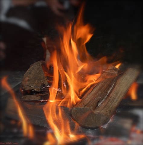 Everything You Need To Know About Burning Wood - Fire Pit Wood 101 ...