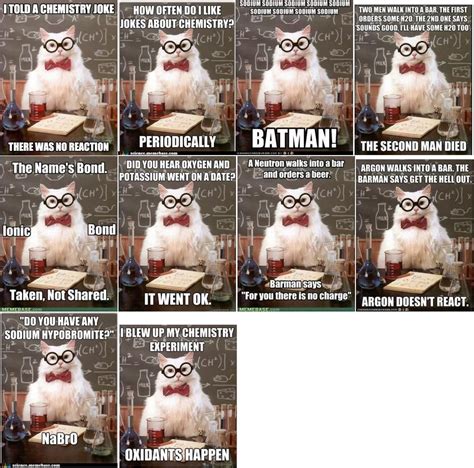 Chemistry Cat Meme is probably my favorite... I just love these! -- Click through to learn more ...