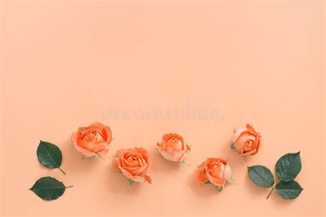 Wedding Decoration In Peach Color Stock Image - Image of fresh, color: 98530809