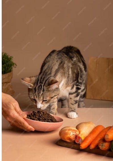 Facts About Life Abundance Cat Food Products - Healthy Food For Pets ...