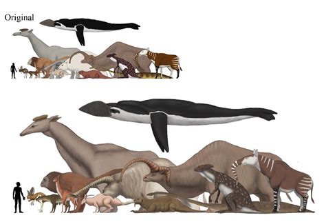 Speculative Evolution -> The SE Giants Project | Creature drawings, Animal art, Creature design