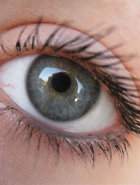 Discover the 7 Rarest and Unusual Eye Colors