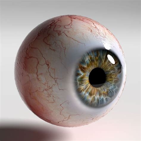 Pin by Cris Flores on Wallpaper | Eyeball art, Eye art, Anatomy art