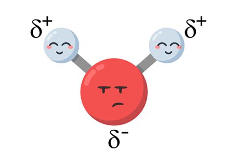 Properties of Water - Labster