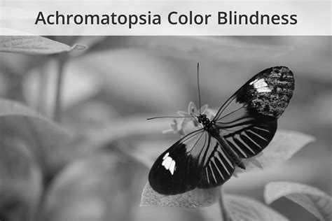 What is color blindness – EnChroma