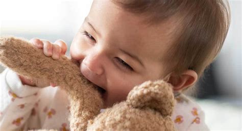 Toddler biting: Why it happens and how to stop it | BabyCenter