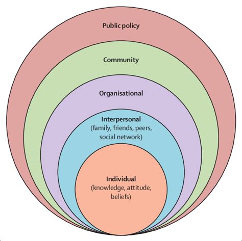 Mcelroy Socio Ecological Model