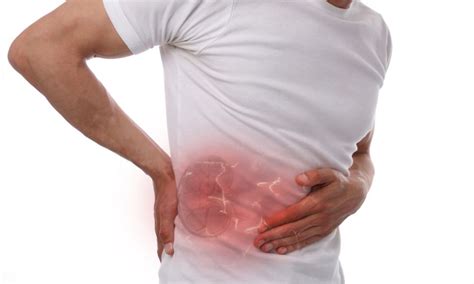 Bruised Kidney: Symptoms and How to Treat It | DrHouse