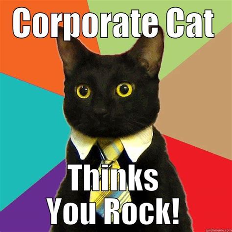 corporate cat - quickmeme