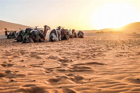 3 Days Marrakech Desert Tour - Fez Desert Tours