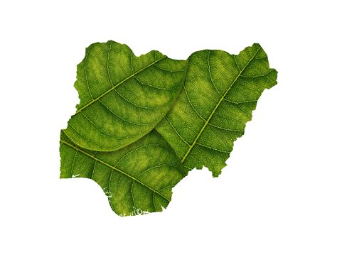 Nigeria map made of green leaves ecology concept 35941065 PNG