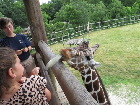 You Fed a What? Our Favorite Animal Encounters of 2019! - Zoo With Us