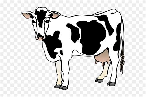 Cow Vector - Clipart Library - Cow Clipart - Free Transparent PNG ...