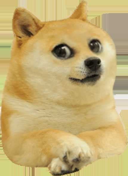 Doge Meme Template Cheems Png / Doge Vs Cheems Memes Photos Facebook : Every day new 3d models ...