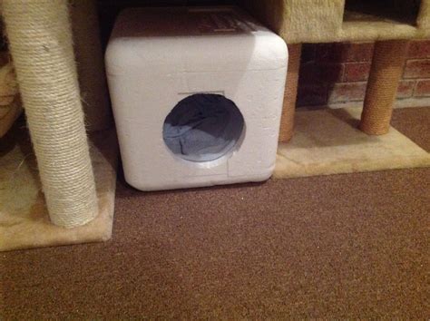 I used Omaha Steak coolers to make cat cabins. My cats love them! | Styrofoam crafts, Styrofoam ...