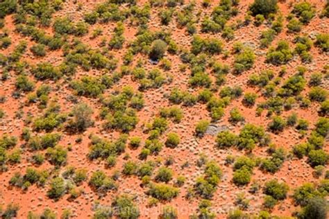 Desert Bushes and Red Sand, Uluru _ Kata Tjuta National Park, World Heritage Area, Northern ...