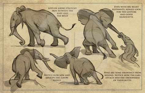 Tembo - How to draw elephants packet I created for the crew. | The Art of Aaron Blaise Animal ...