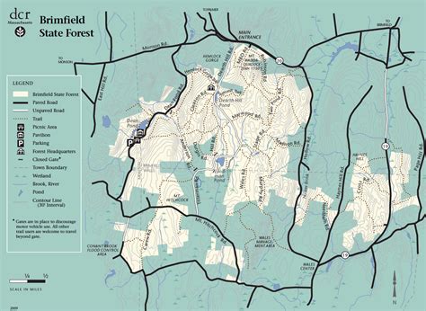 Brimfield State Forest - TrailMeister