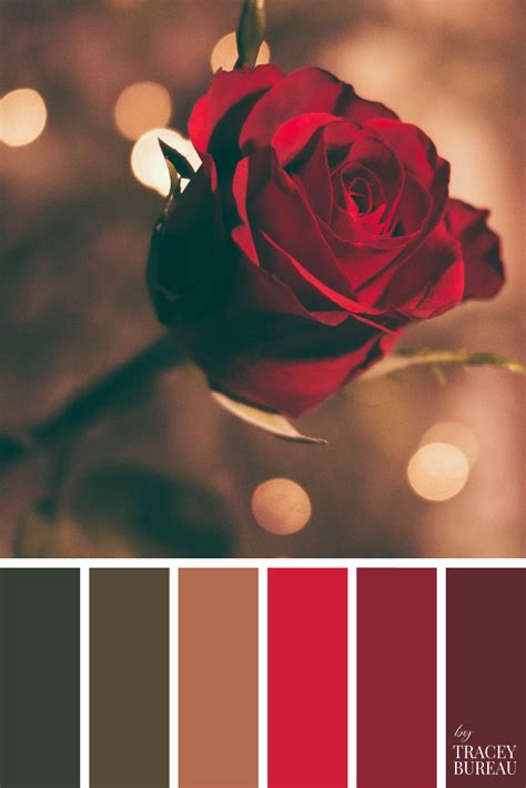 Red Rose | Color Palette | Colour Palette | Color Theme | Colour Theme | Color Scheme | C ...