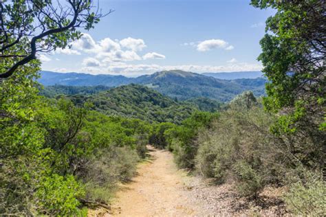 Sugarloaf California Stock Photos, Pictures & Royalty-Free Images - iStock