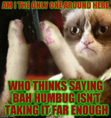 20+ Funny Christmas Grinch Grumpy Cat Memes - Factory Memes