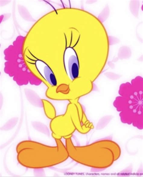 Pin by lisa neugebauer on Tweety Bird ♡ | Tweety, Bird, Fictional characters